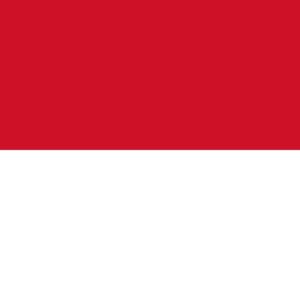 INDONESIA VISA SERVICES